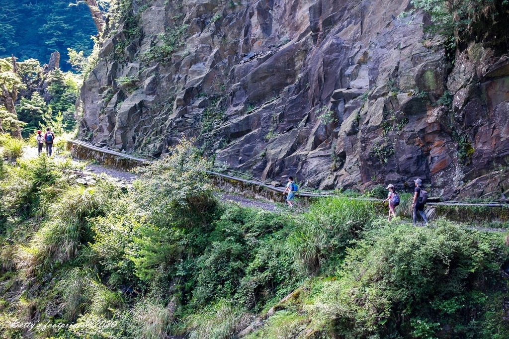 DSCF8105.jpg DSCF8105.jpg