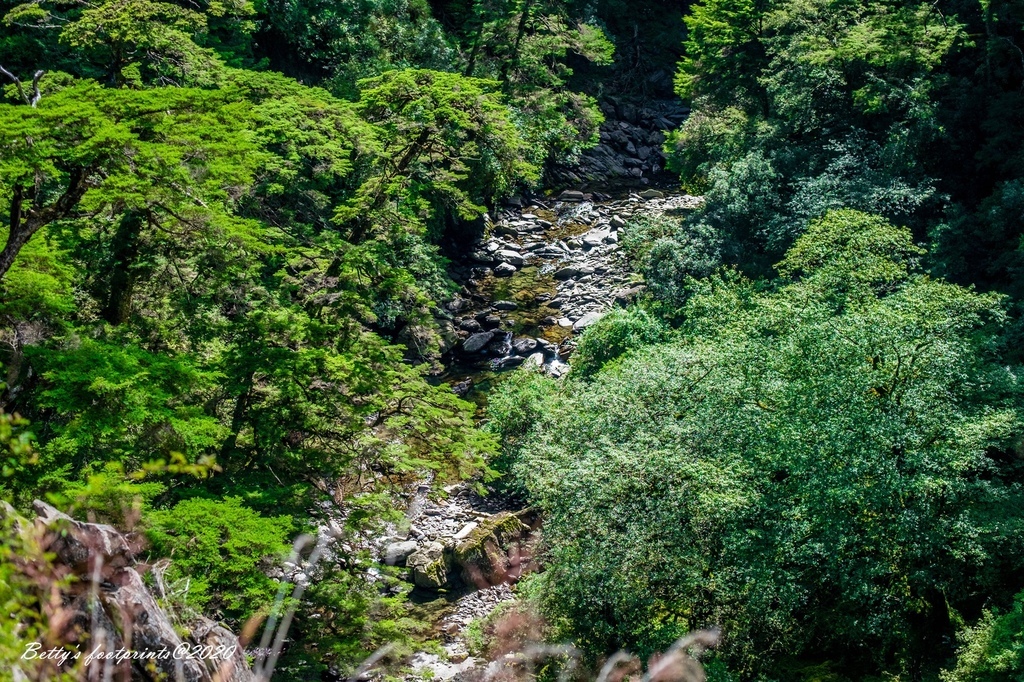 DSCF8112.jpg DSCF8112.jpg