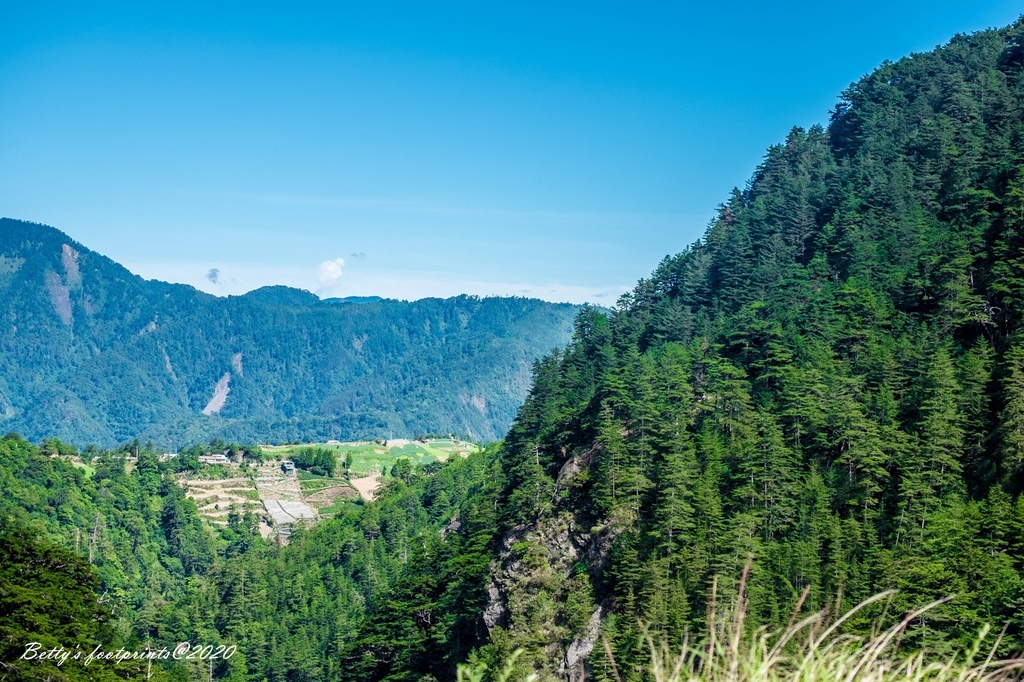 DSCF8113.jpg DSCF8113.jpg