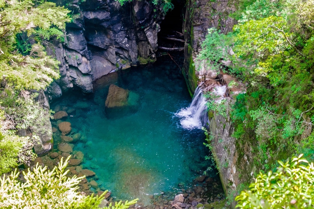 DSCF8116.jpg DSCF8116.jpg