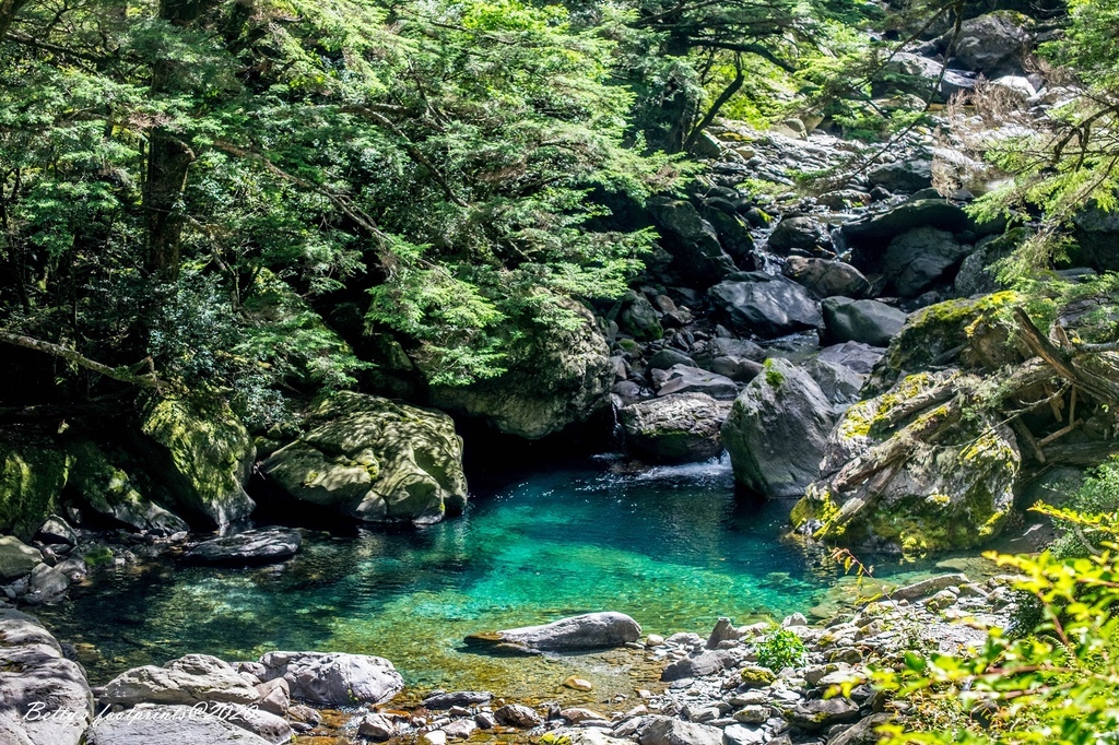 DSCF8124.jpg DSCF8124.jpg