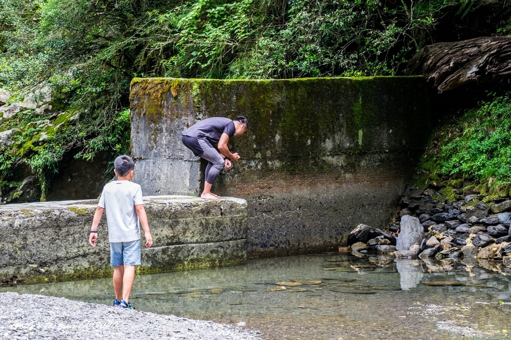 DSCF8131.jpg DSCF8131.jpg