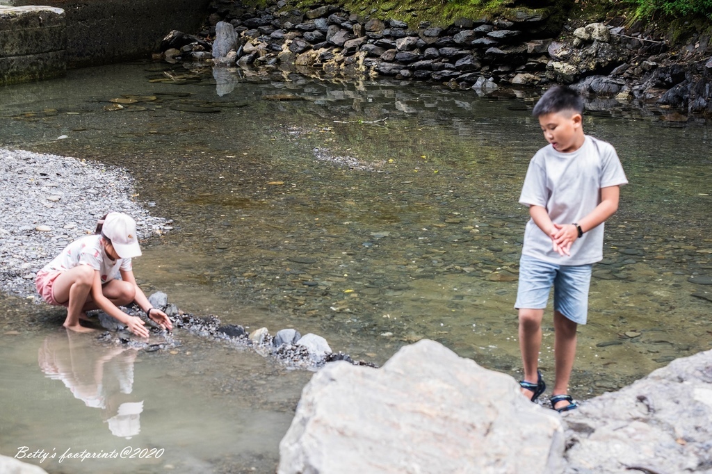 DSCF8149.jpg DSCF8149.jpg