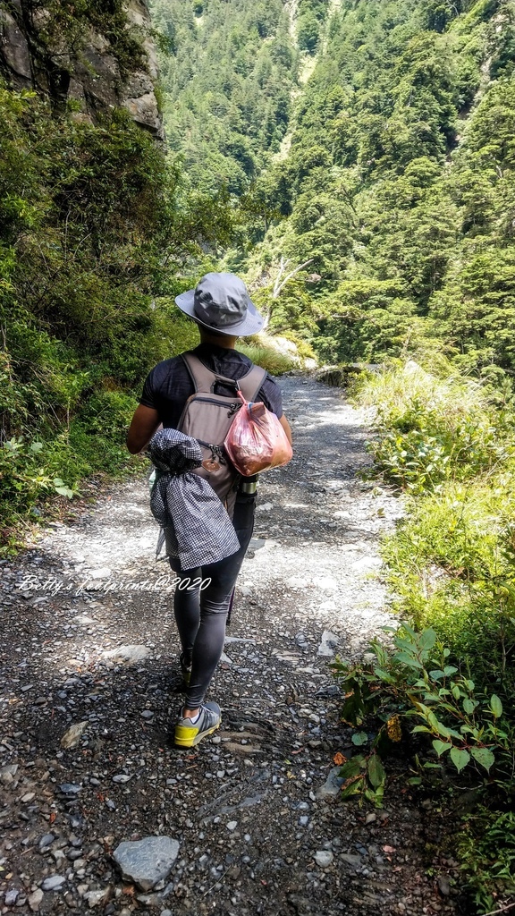 IMAG5879.jpg IMAG5879.jpg