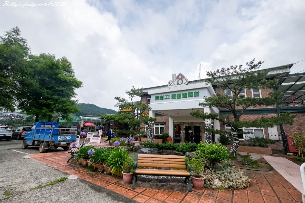 _DSF9137.jpg _DSF9137.jpg