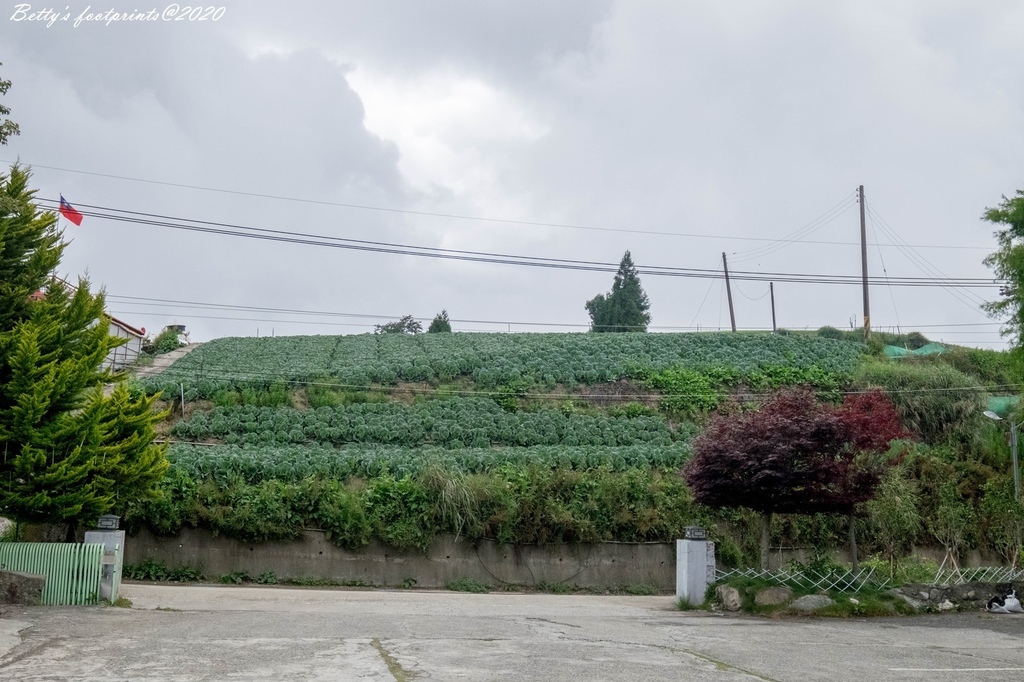 _DSF9136.jpg _DSF9136.jpg