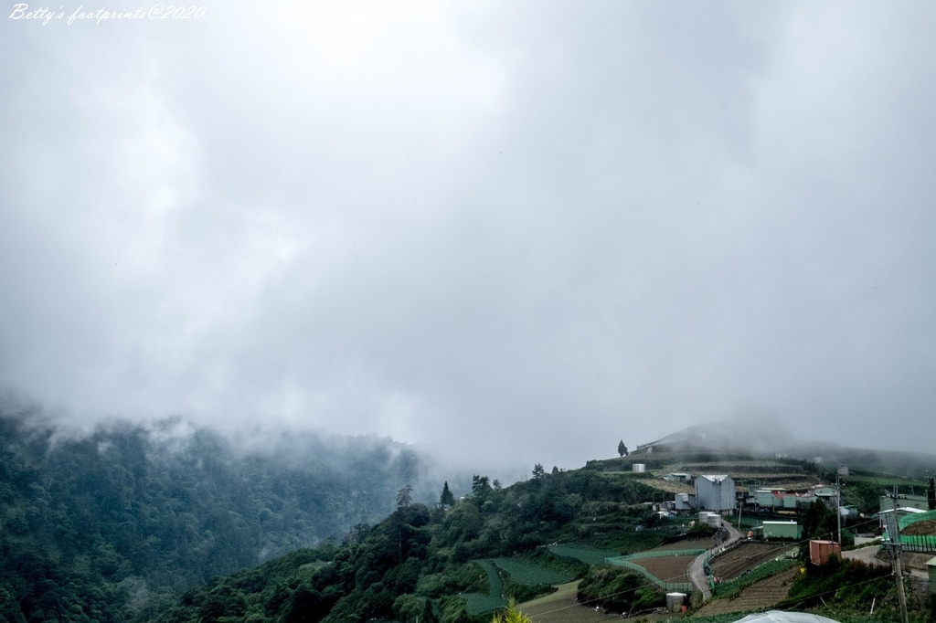 _DSF9142.jpg _DSF9142.jpg