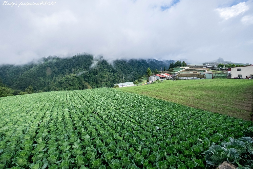 _DSF9146.jpg _DSF9146.jpg