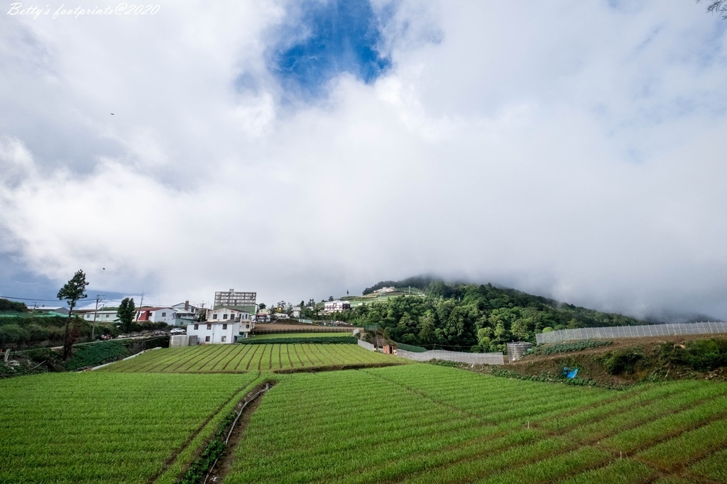 _DSF9151.jpg _DSF9151.jpg