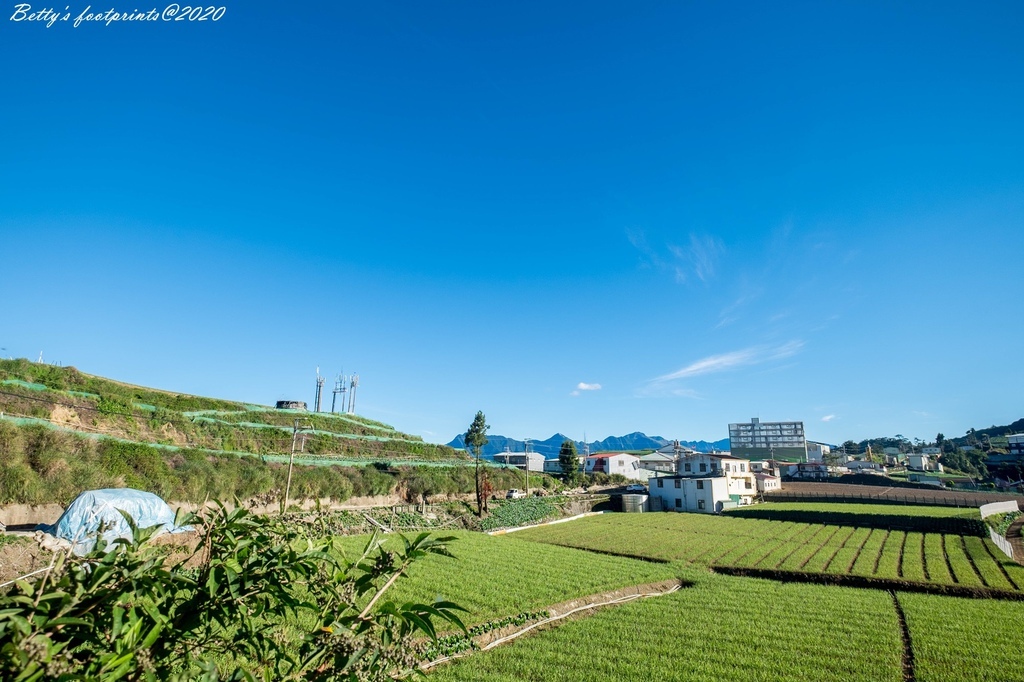 _DSF9168.jpg _DSF9168.jpg