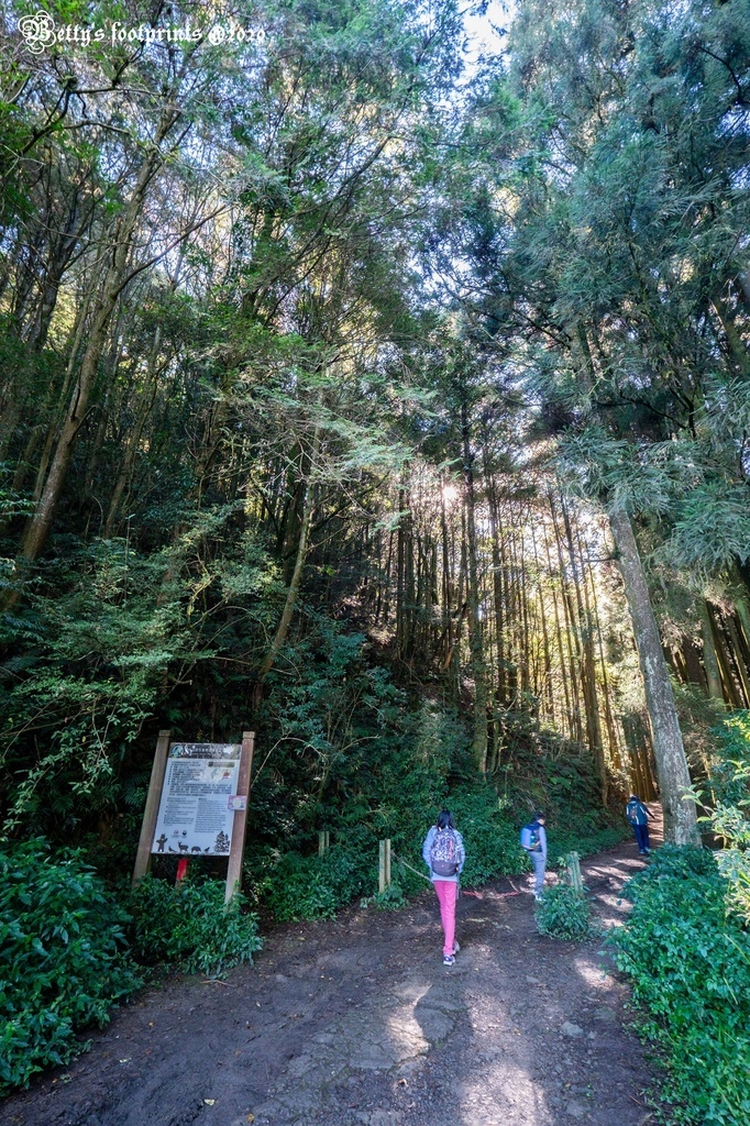 _DSF0025.jpg _DSF0025.jpg