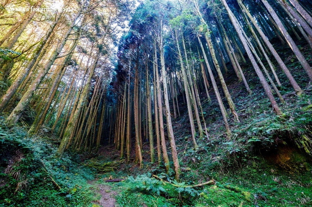 _DSF0034.jpg _DSF0034.jpg