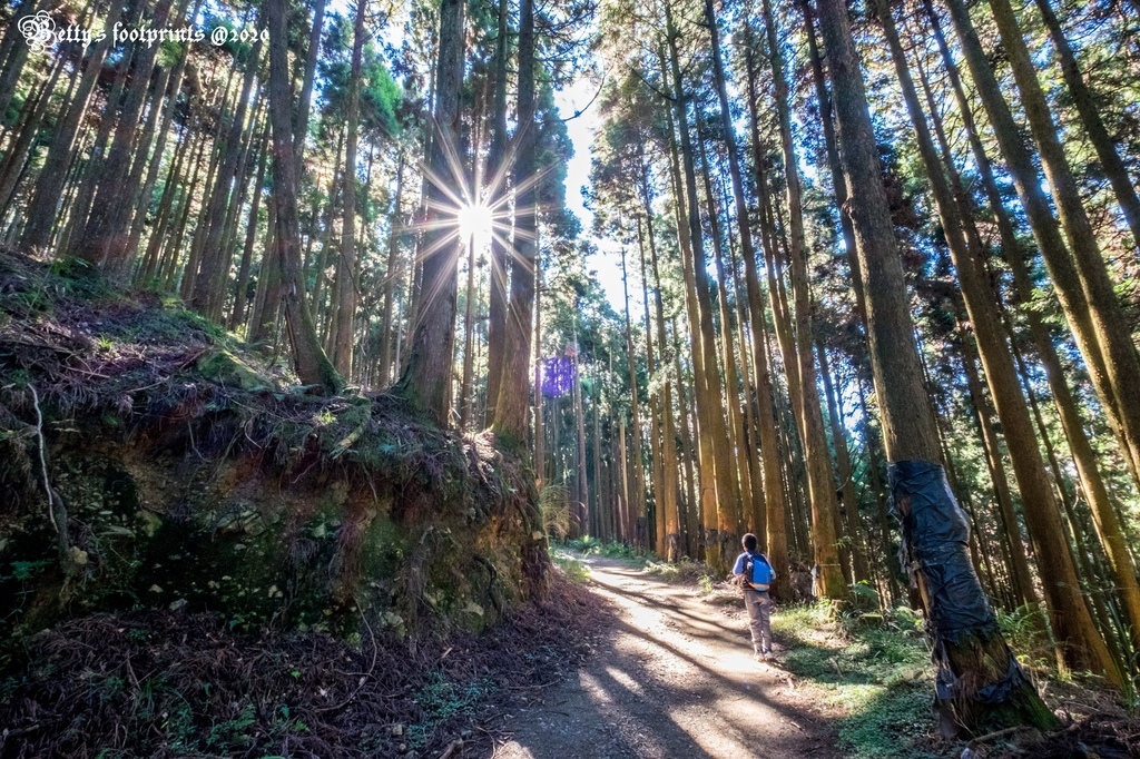 _DSF0044.jpg _DSF0044.jpg