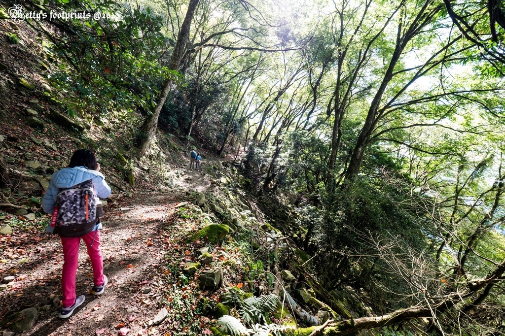 _DSF0061.jpg _DSF0061.jpg