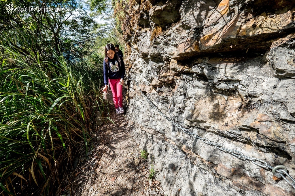 _DSF0072.jpg _DSF0072.jpg