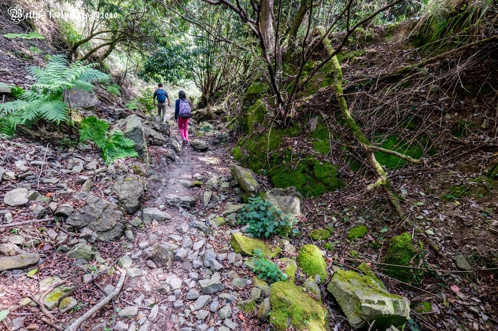 _DSF0079.jpg _DSF0079.jpg