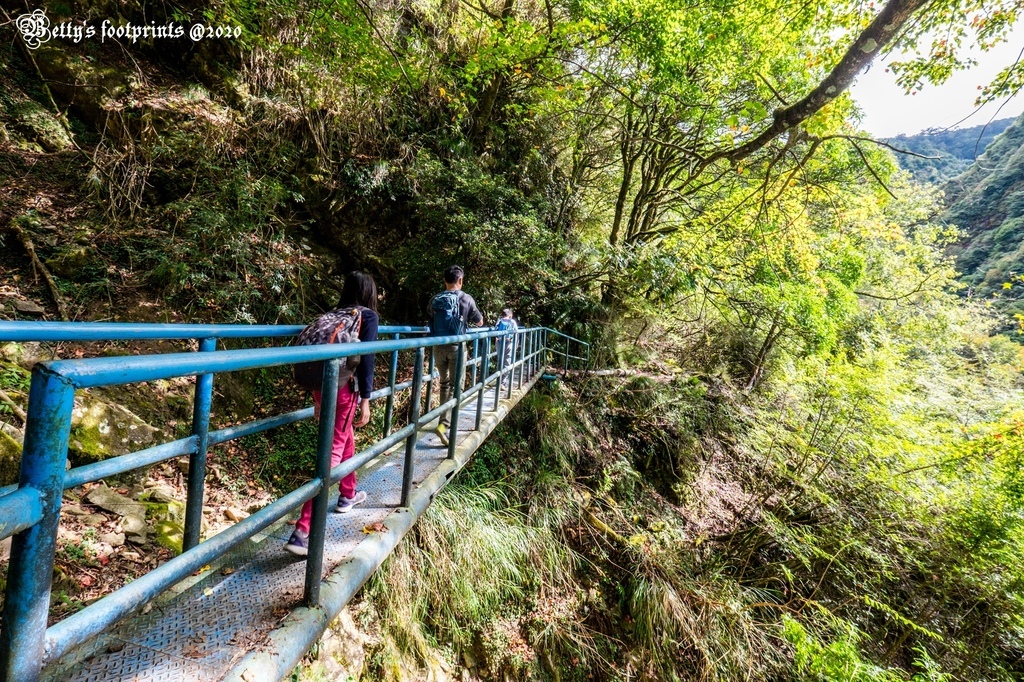 _DSF0083.jpg _DSF0083.jpg