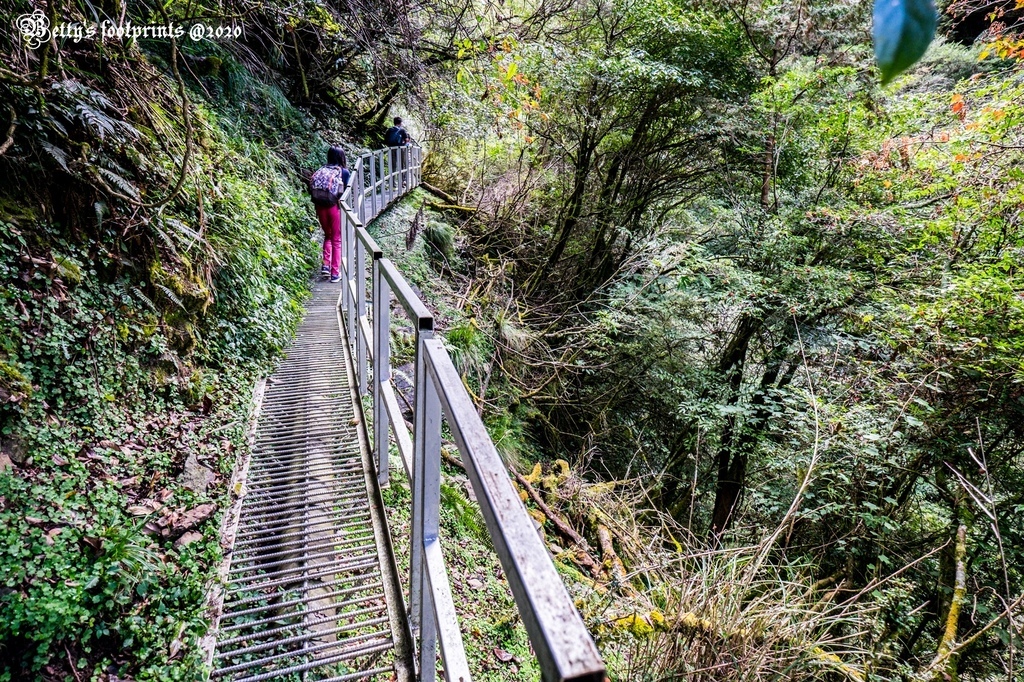 _DSF0088.jpg _DSF0088.jpg