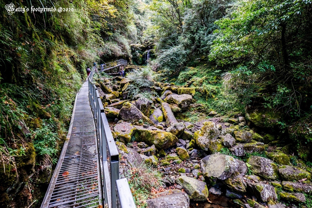 _DSF0091.jpg _DSF0091.jpg