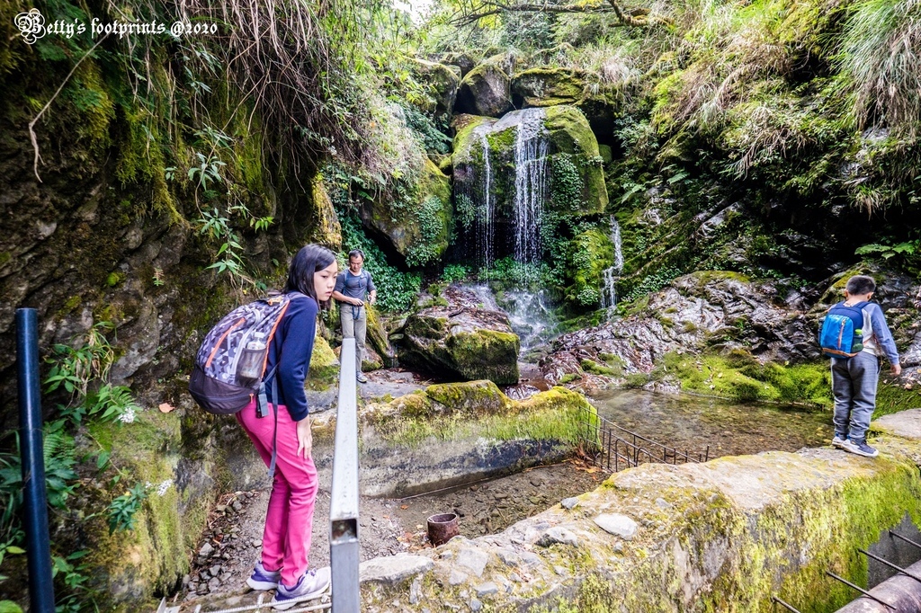 _DSF0093.jpg _DSF0093.jpg