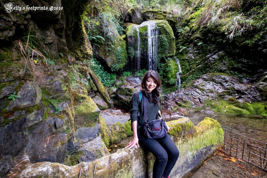 _DSF0099.jpg _DSF0099.jpg