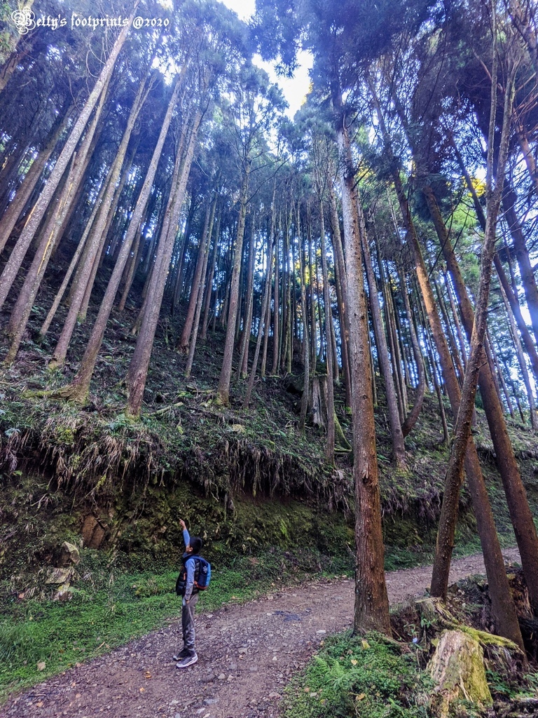 PXL_20201206_013700604.jpg PXL_20201206_013700604.jpg