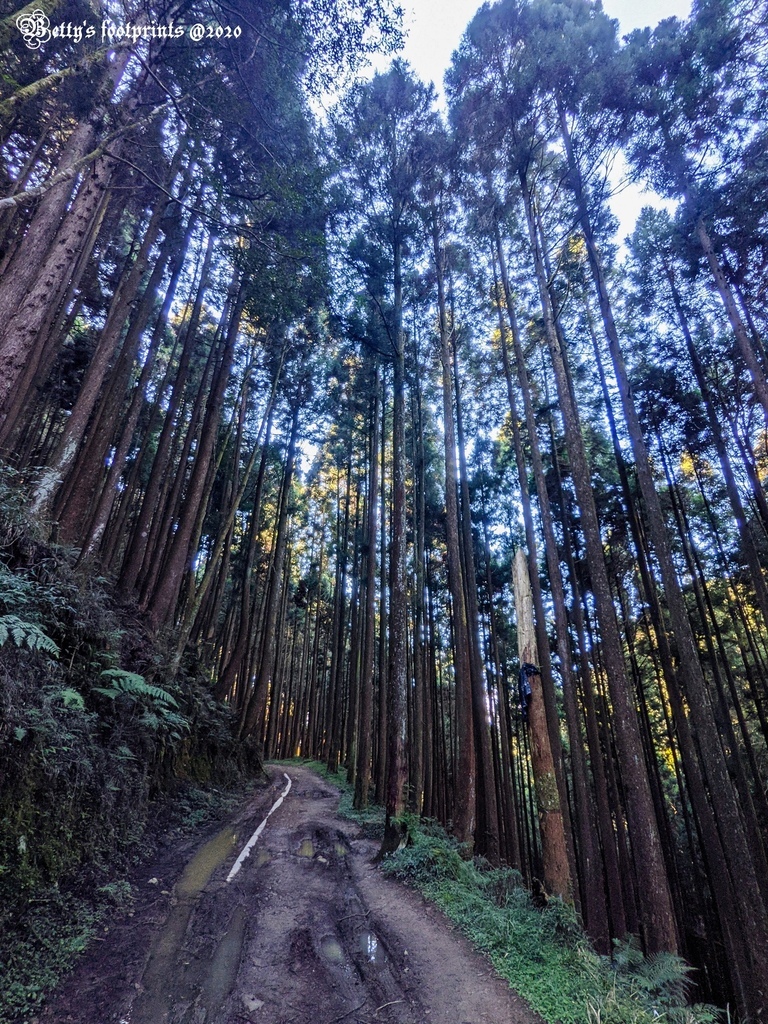 PXL_20201206_013842345.jpg PXL_20201206_013842345.jpg