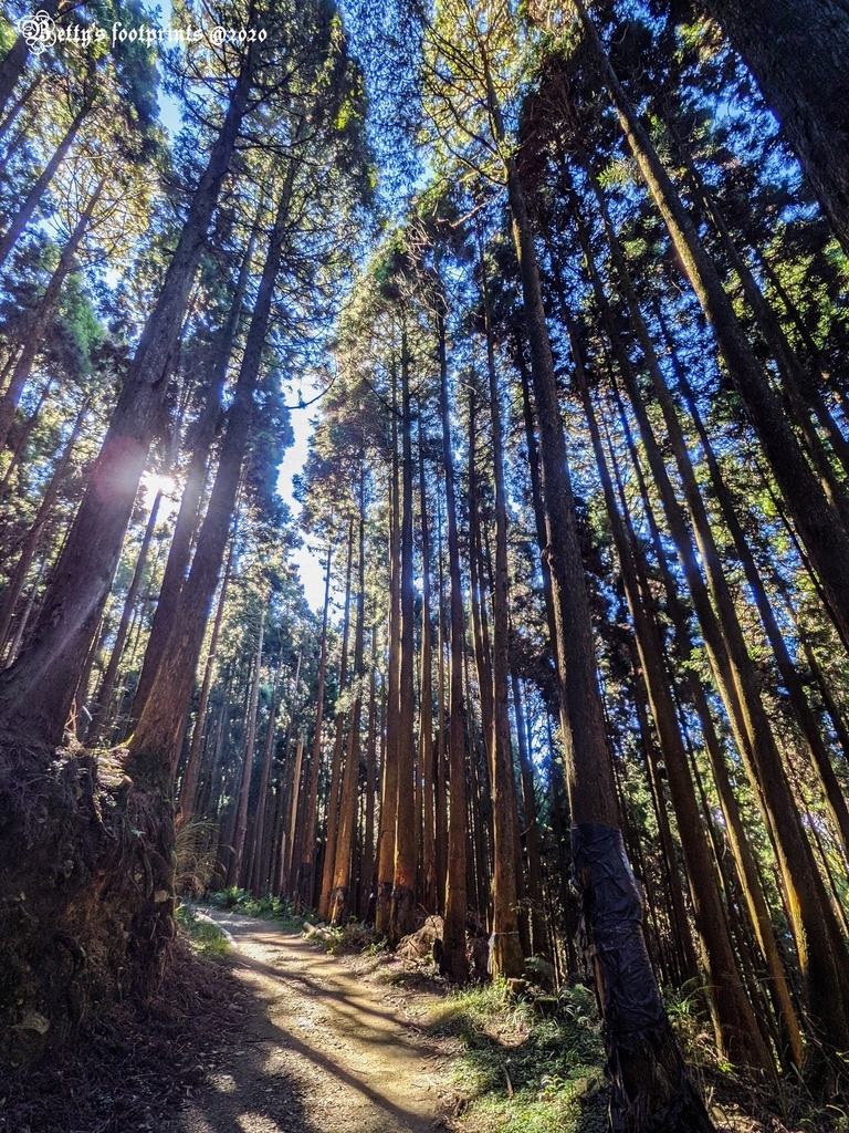 PXL_20201206_014151579.jpg PXL_20201206_014151579.jpg