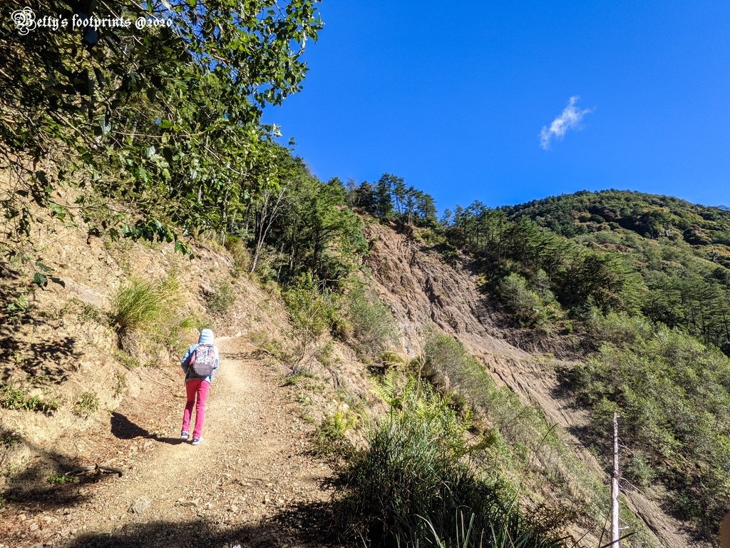 PXL_20201206_015841416.jpg PXL_20201206_015841416.jpg