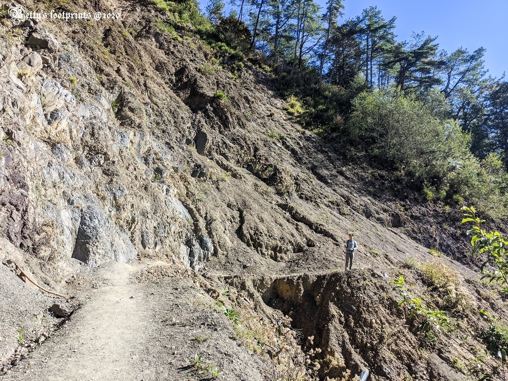 PXL_20201206_020134324.jpg PXL_20201206_020134324.jpg