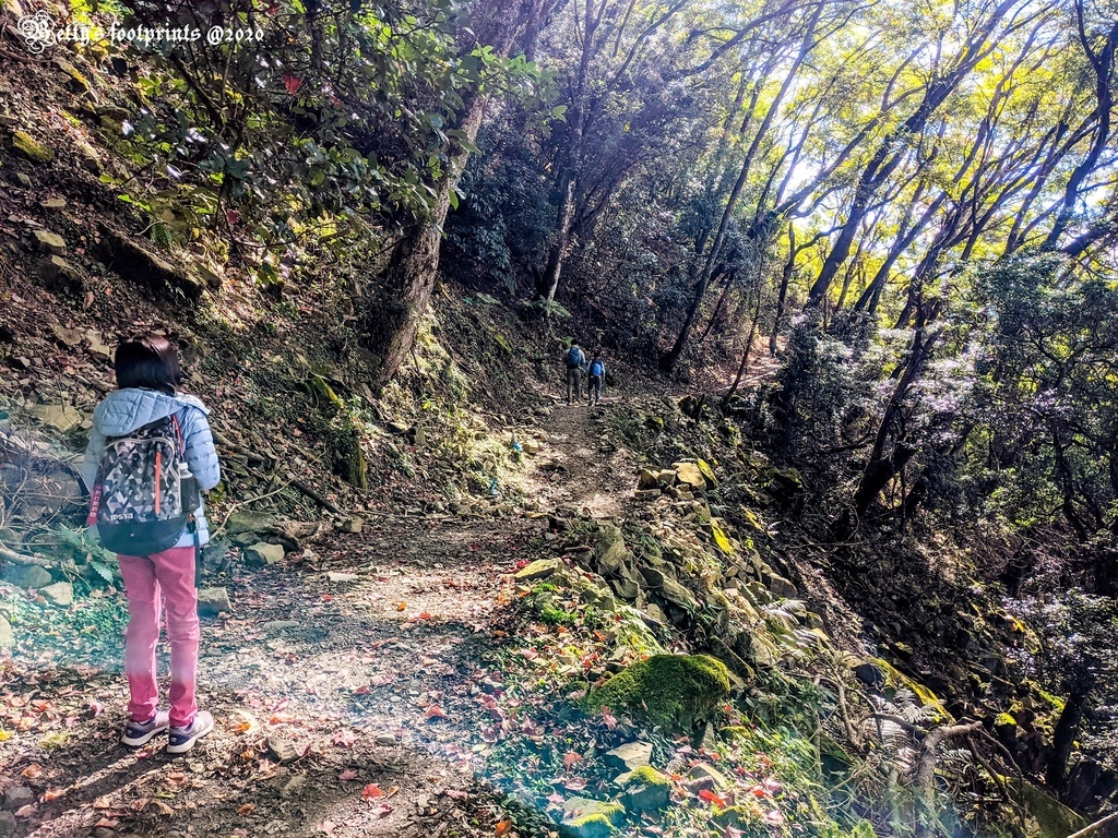 PXL_20201206_021516214.jpg PXL_20201206_021516214.jpg