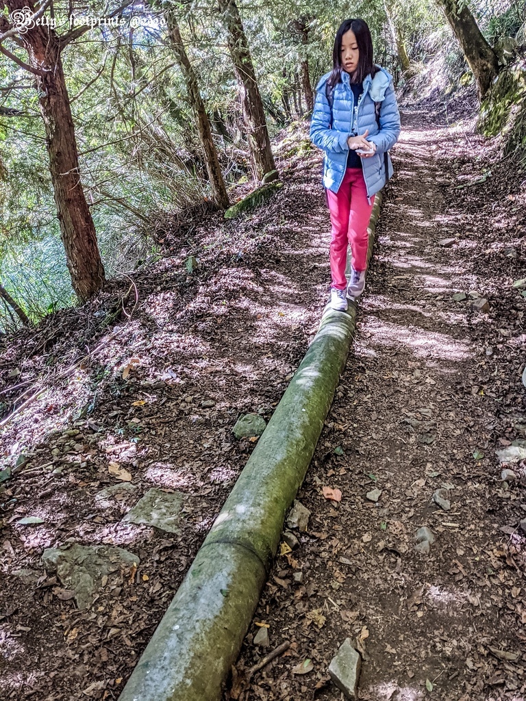 PXL_20201206_021832254.jpg PXL_20201206_021832254.jpg