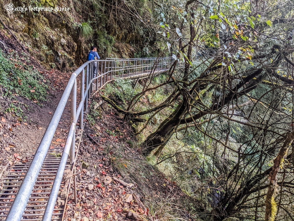 PXL_20201206_025545789.jpg PXL_20201206_025545789.jpg