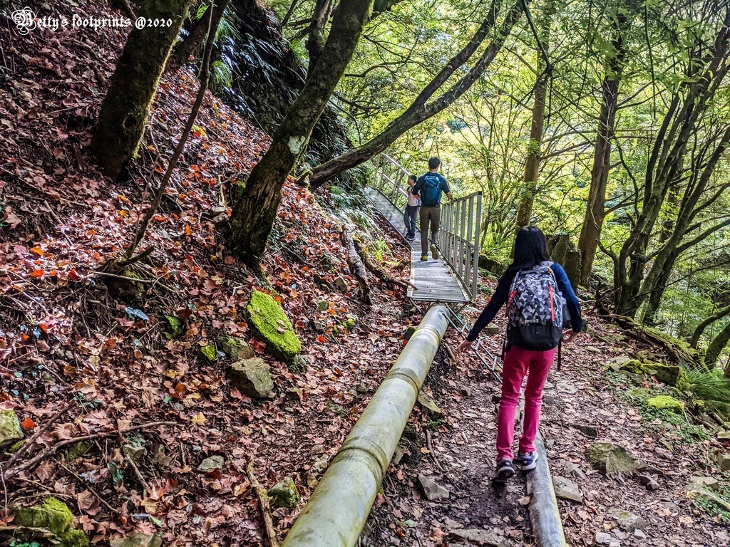 PXL_20201206_025924297.jpg PXL_20201206_025924297.jpg