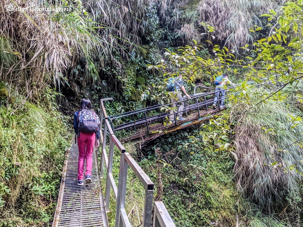 PXL_20201206_030215848.jpg PXL_20201206_030215848.jpg