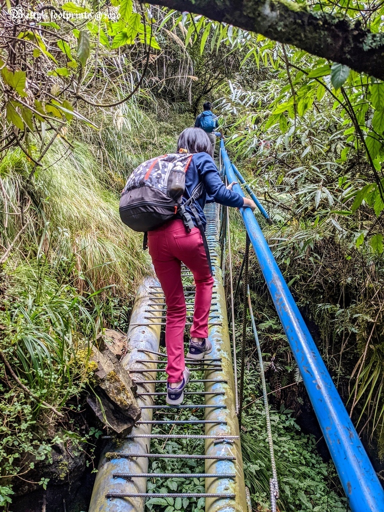 PXL_20201206_030400519.jpg PXL_20201206_030400519.jpg