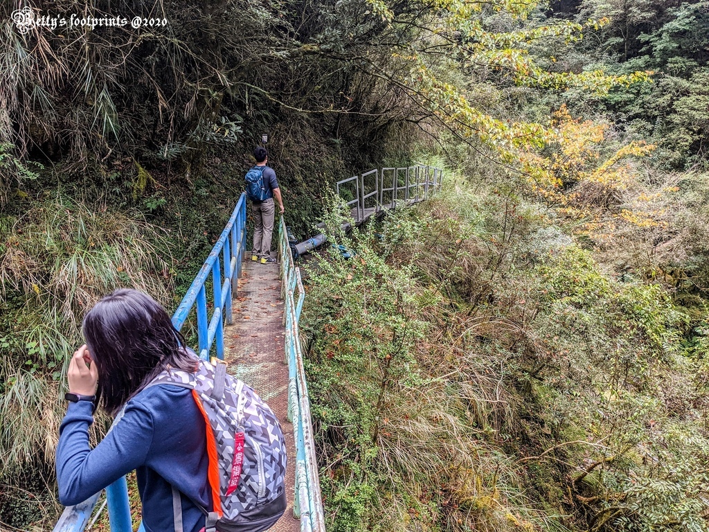 PXL_20201206_030540572.MP.jpg PXL_20201206_030540572.MP.jpg