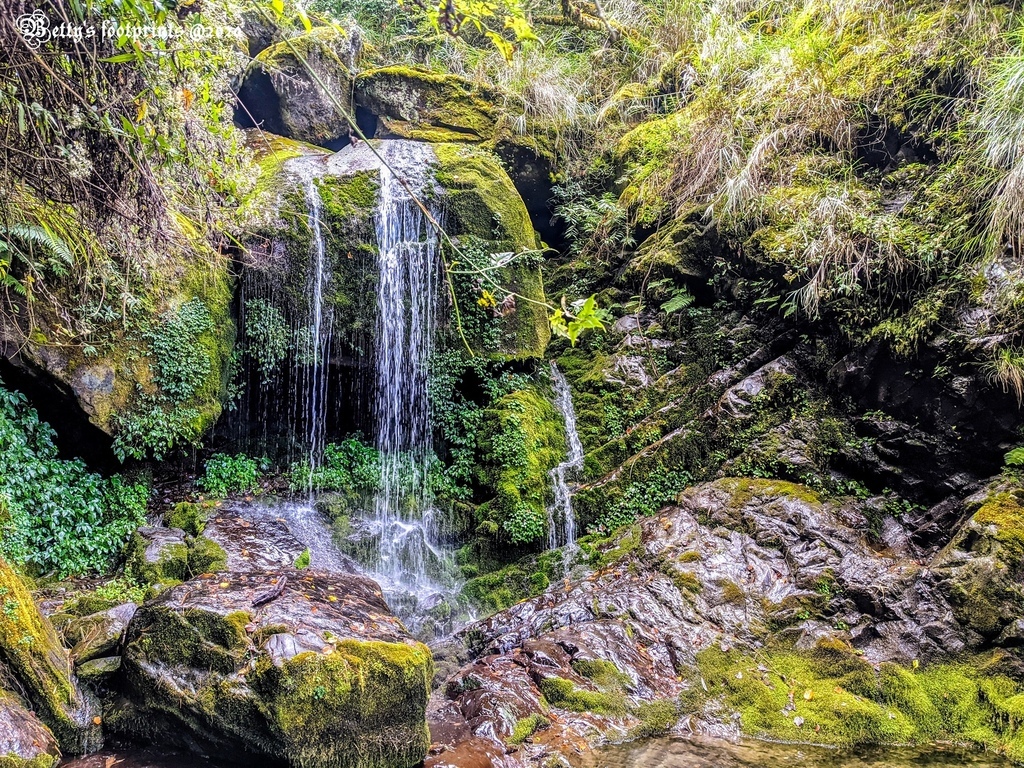 PXL_20201206_030827032.jpg PXL_20201206_030827032.jpg