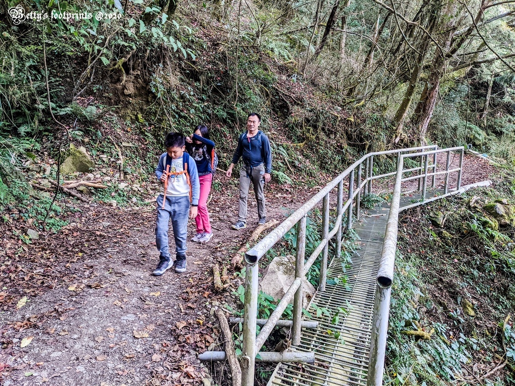 PXL_20201206_050317072.jpg PXL_20201206_050317072.jpg