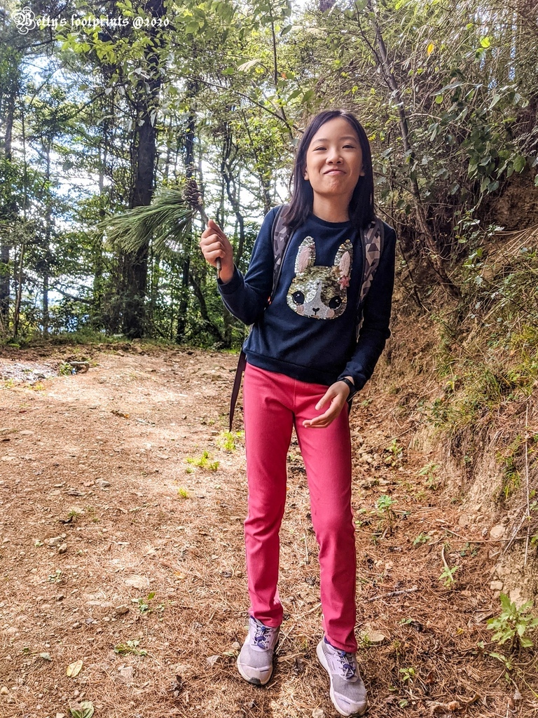 PXL_20201206_051417666.MP.jpg PXL_20201206_051417666.MP.jpg