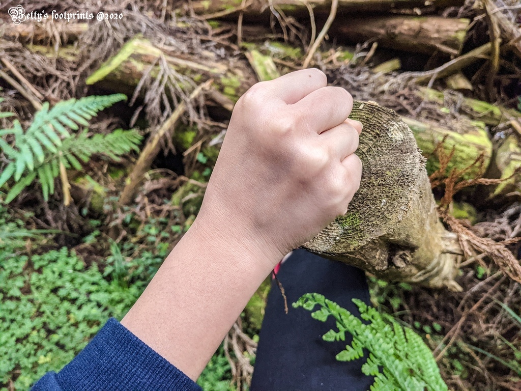 PXL_20201206_052610226.jpg PXL_20201206_052610226.jpg