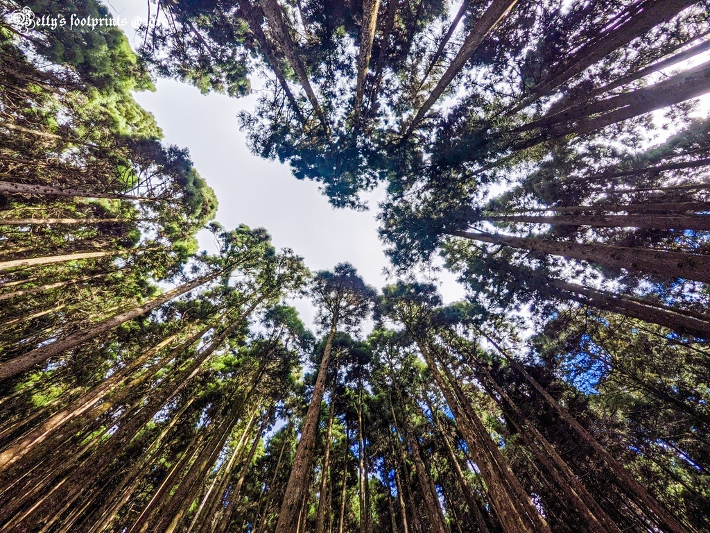 PXL_20201206_052649758.jpg PXL_20201206_052649758.jpg