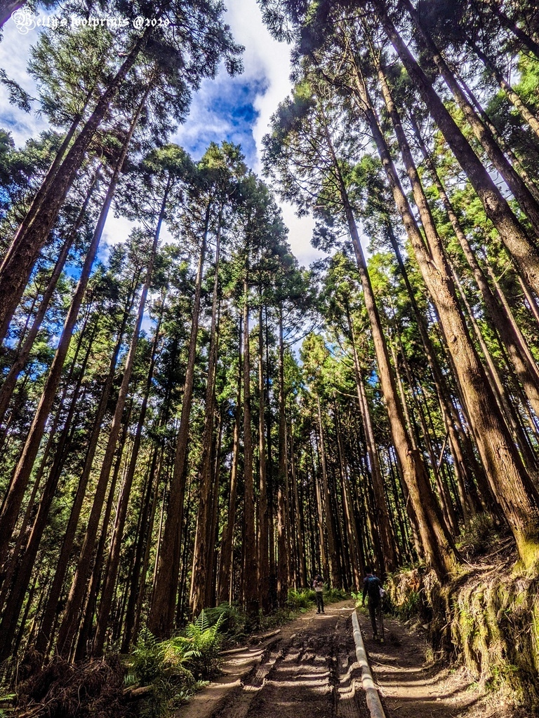 PXL_20201206_052846239.jpg PXL_20201206_052846239.jpg