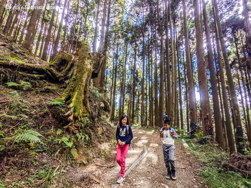 PXL_20201206_052954859.jpg PXL_20201206_052954859.jpg