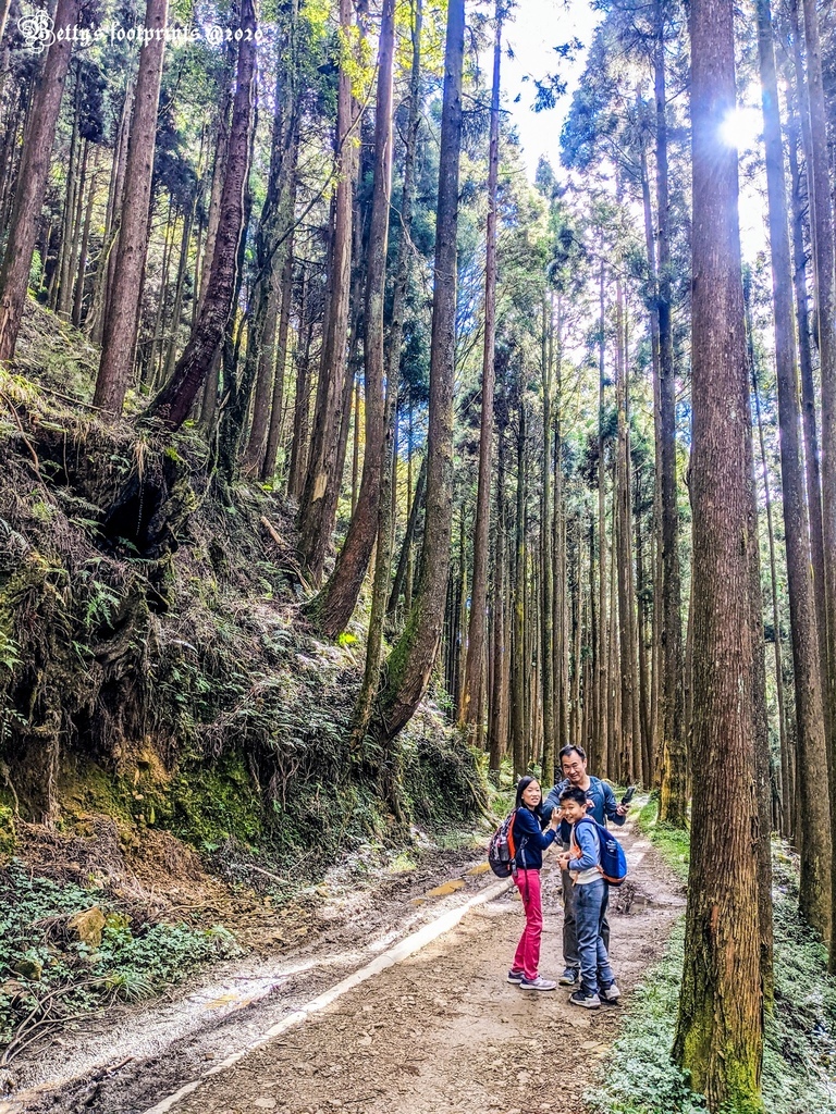 PXL_20201206_053739263.jpg PXL_20201206_053739263.jpg