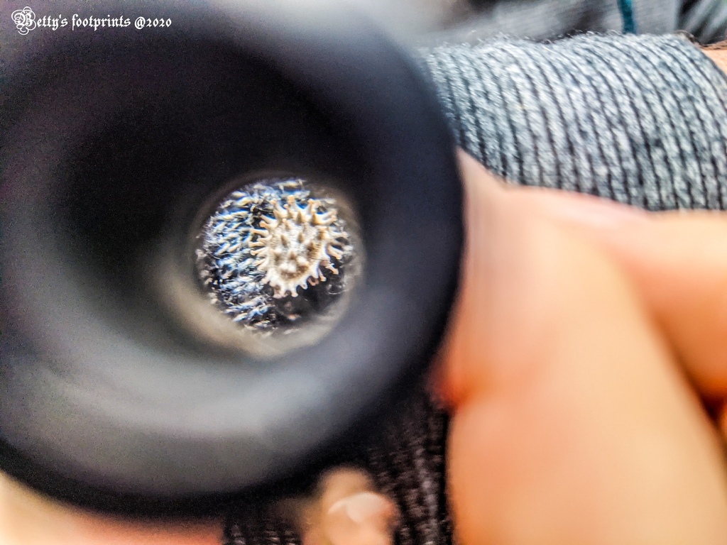 PXL_20201206_053811893.MP.jpg PXL_20201206_053811893.MP.jpg