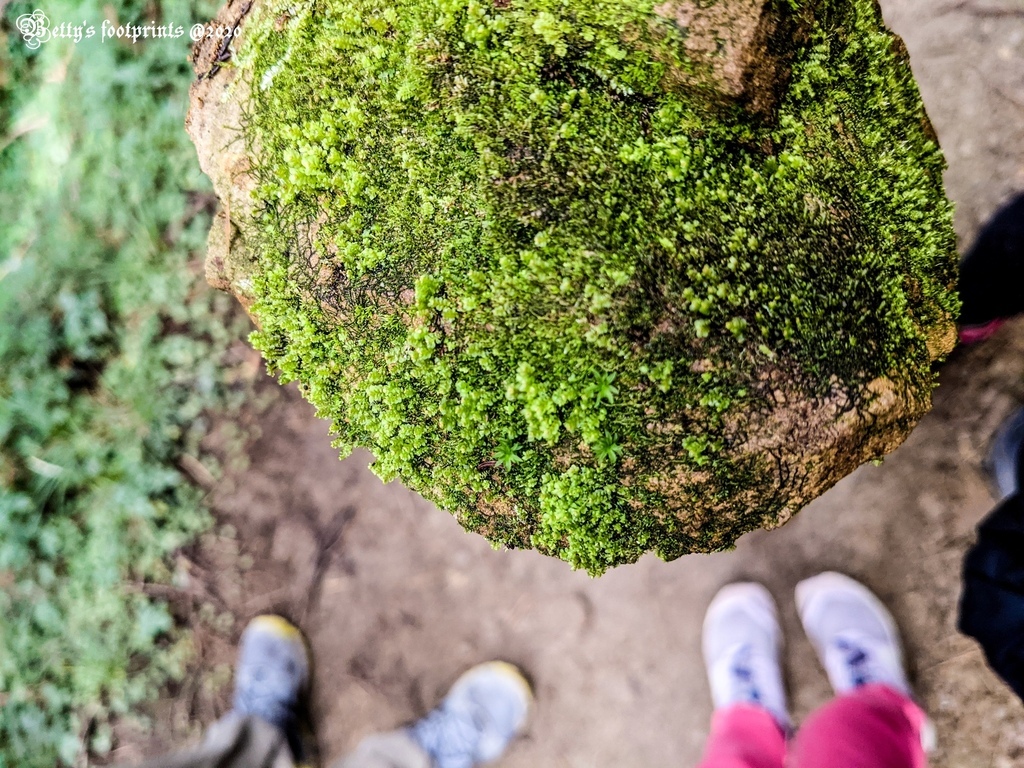 PXL_20201206_053935550.jpg PXL_20201206_053935550.jpg