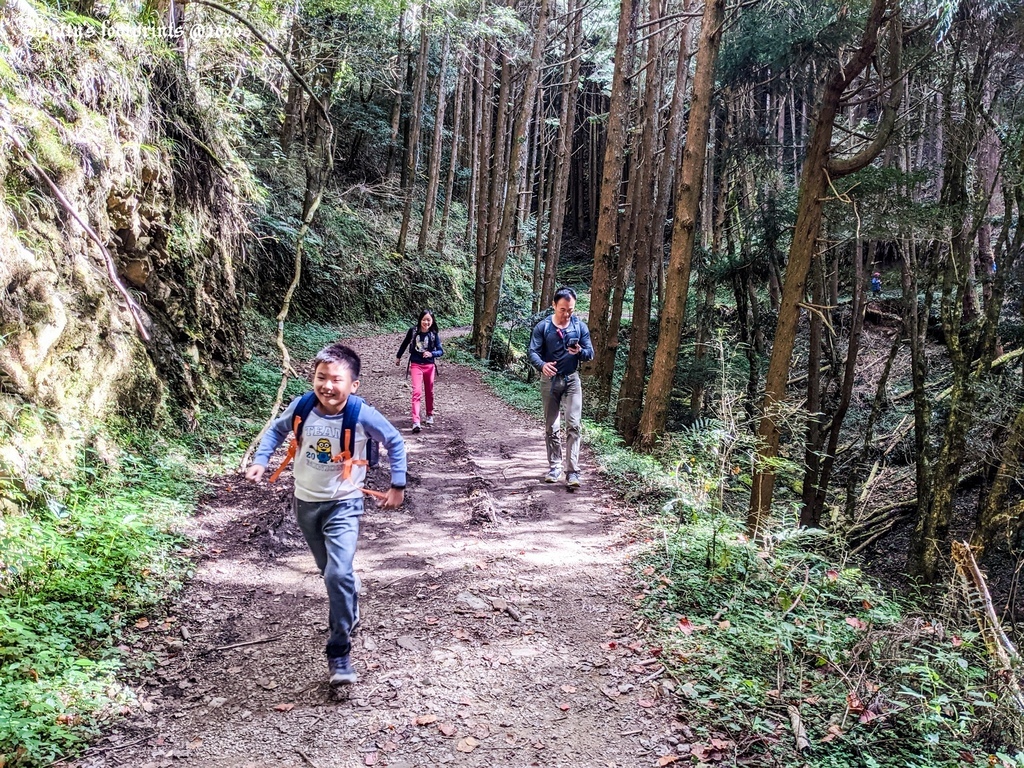 PXL_20201206_054322365.MP.jpg PXL_20201206_054322365.MP.jpg