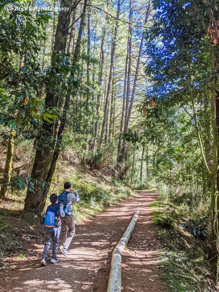 PXL_20201206_015307942.jpg PXL_20201206_015307942.jpg