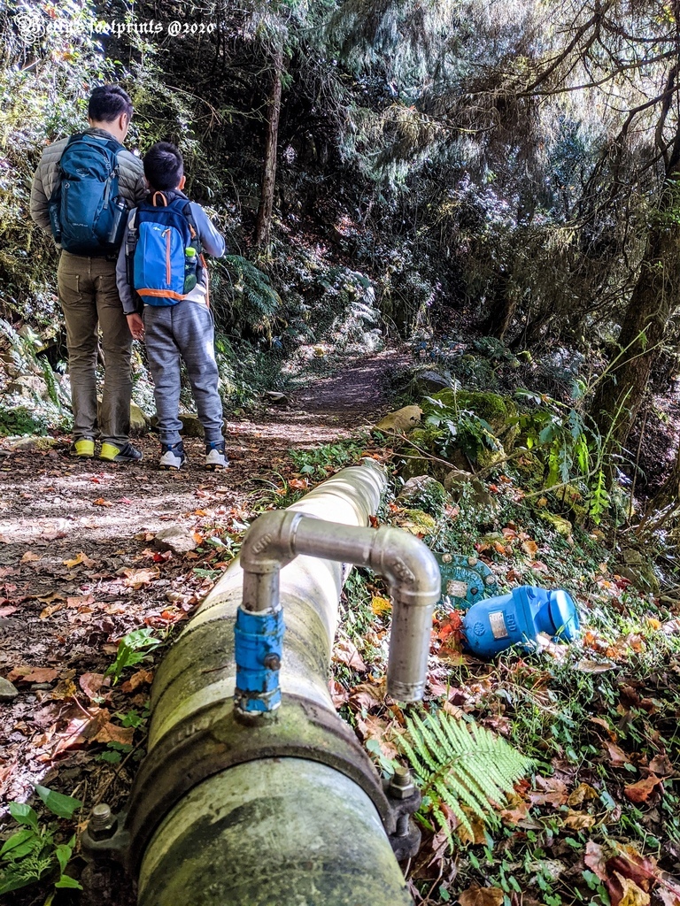 PXL_20201206_020743526.MP.jpg PXL_20201206_020743526.MP.jpg